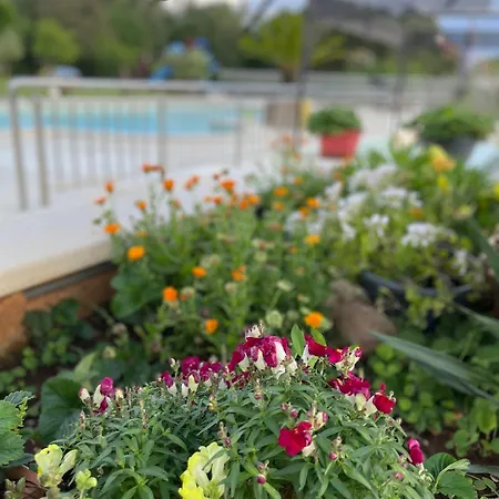 Kimberlly * Rovinjsko Selo