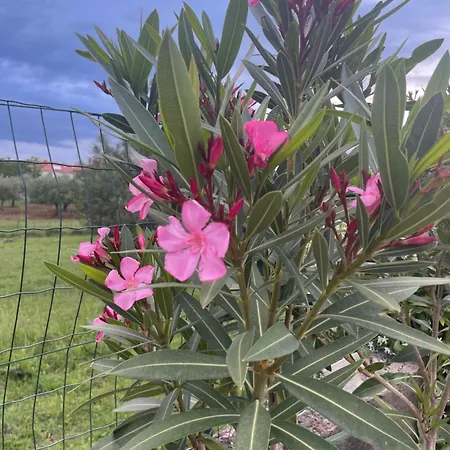 Appartement Kimberlly *