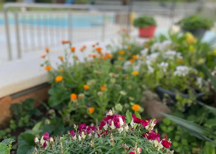 Kimberlly * Rovinjsko Selo