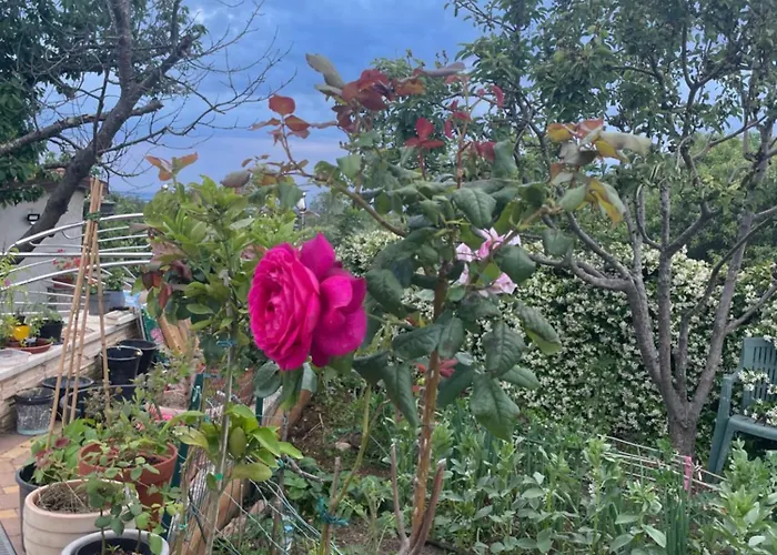 Kimberlly * Rovinjsko Selo